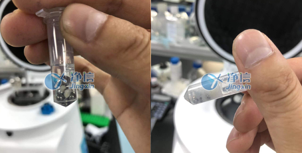 1655804864115513.jpg 25.jpg