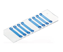 (ibidi)細(xì)胞計數(shù)載玻片80816