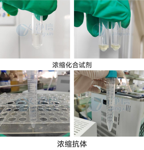 775758758021 775758758021