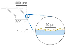 (ibidi)μ-Dish 35 mm帶計數(shù)格培養(yǎng)皿-80156 80151 81166 81161 81148 81168