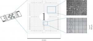 (ibidi)μ-Slide光電關聯顯微鏡載玻片-80361